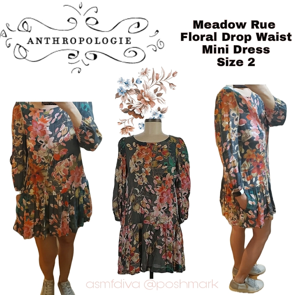 MEADOW RUE- Floral Drop Waist Dress, Size 2